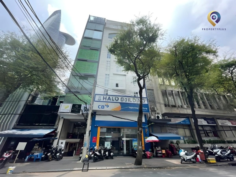 Halo Tôn Thất Đạm